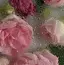 🍓のプロフィール画像