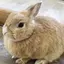 ひかりのプロフィール画像