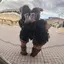 りおんのプロフィール画像