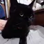 晶のプロフィール画像