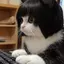 さらさのプロフィール画像