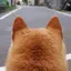 キミキのプロフィール画像