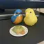 ばのプロフィール画像