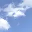saaのプロフィール画像