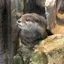 彩子のプロフィール画像