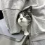 ひとみゃのプロフィール画像