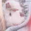 Sのプロフィール画像