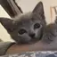 Rのプロフィール画像