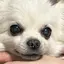 みょんのプロフィール画像