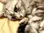 Yuのプロフィール画像
