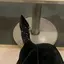 みゆきのプロフィール画像