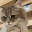 ymkのプロフィール画像