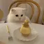 足利のプロフィール画像