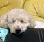 タケナカのプロフィール画像