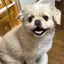 ゆんちゃんのプロフィール画像