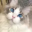 香里奈のプロフィール画像