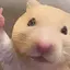 まほのプロフィール画像