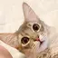 jugheadのプロフィール画像