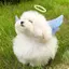 りのプロフィール画像