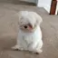みなみのプロフィール画像