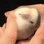日衣菜のプロフィール画像