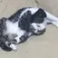 yuuのプロフィール画像