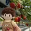 COCOのプロフィール画像
