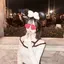 愛莉のプロフィール画像