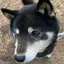 ともみのプロフィール画像