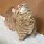 meiのプロフィール画像