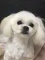幸子のプロフィール画像