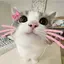 こころのプロフィール画像
