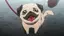 ゆこりんのプロフィール画像