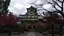 shi-kaのプロフィール画像
