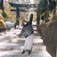 sacchan*のプロフィール画像