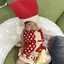 おいものプロフィール画像