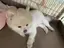 穂乃花のプロフィール画像