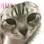 ゆきちゃんのプロフィール画像