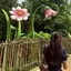 梨花のプロフィール画像