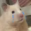 みみしゃんのプロフィール画像