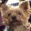 maririのプロフィール画像