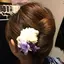 あおのプロフィール画像