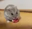 おのプロフィール画像