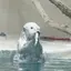 まきのプロフィール画像