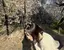 ななのプロフィール画像