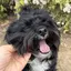うっちゃんのプロフィール画像