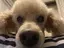 yukoのプロフィール画像