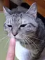 あんころのプロフィール画像