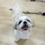 るなのプロフィール画像