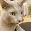 みなみのプロフィール画像